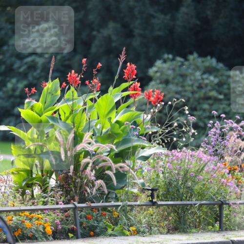 08.09.2024 - Stadtparktriathlon Zöllner http://msf.ph/oto/6997344 08.09.2024 12:22:38 Radfahren 752, 763, 764, 795, 809, 848, 897, 901, 906, 933 meine-sportfotos.de