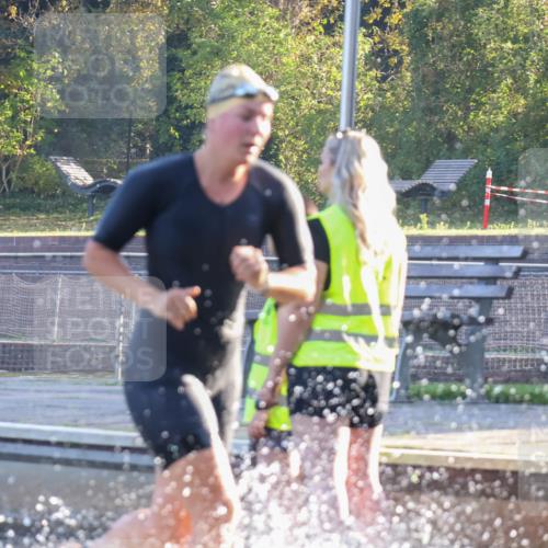 08.09.2024 - Stadtparktriathlon Luisa Fischer http://msf.ph/oto/6998029 08.09.2024 09:06:33 Schwimmen 174 meine-sportfotos.de