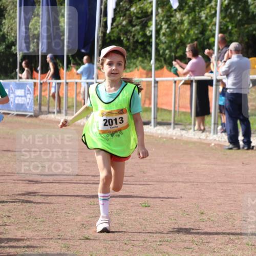 08.09.2024 - Airport Race Strokosch-Dieckow http://msf.ph/oto/6998333 08.09.2024 11:12:52 Ziel  meine-sportfotos.de