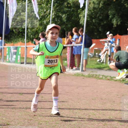 08.09.2024 - Airport Race Strokosch-Dieckow http://msf.ph/oto/6998370 08.09.2024 11:12:52 Ziel  meine-sportfotos.de