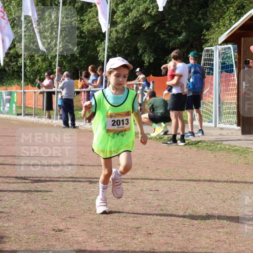 08.09.2024 - Airport Race Strokosch-Dieckow http://msf.ph/oto/6998395 08.09.2024 11:12:53 Ziel  meine-sportfotos.de