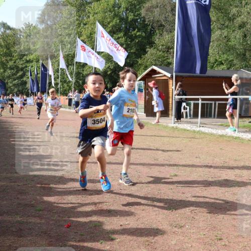 08.09.2024 - Airport Race Strokosch-Dieckow http://msf.ph/oto/6998534 08.09.2024 11:12:54 Ziel  meine-sportfotos.de