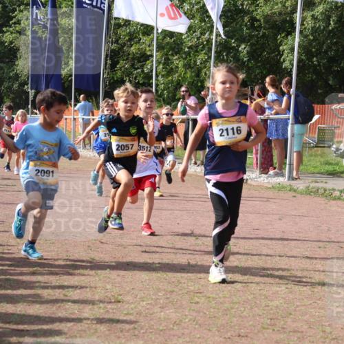 08.09.2024 - Airport Race Strokosch-Dieckow http://msf.ph/oto/6998754 08.09.2024 11:12:57 Ziel  meine-sportfotos.de
