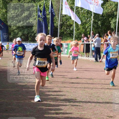 08.09.2024 - Airport Race Strokosch-Dieckow http://msf.ph/oto/6998862 08.09.2024 11:13:00 Ziel  meine-sportfotos.de