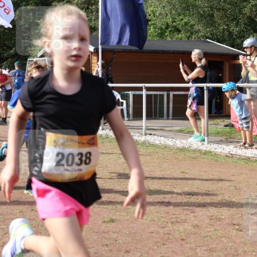 08.09.2024 - Airport Race Strokosch-Dieckow http://msf.ph/oto/6998939 08.09.2024 11:13:02 Ziel  meine-sportfotos.de
