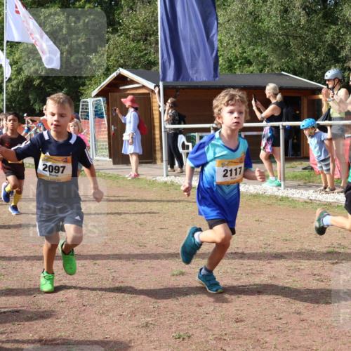 08.09.2024 - Airport Race Strokosch-Dieckow http://msf.ph/oto/6998976 08.09.2024 11:13:03 Ziel  meine-sportfotos.de