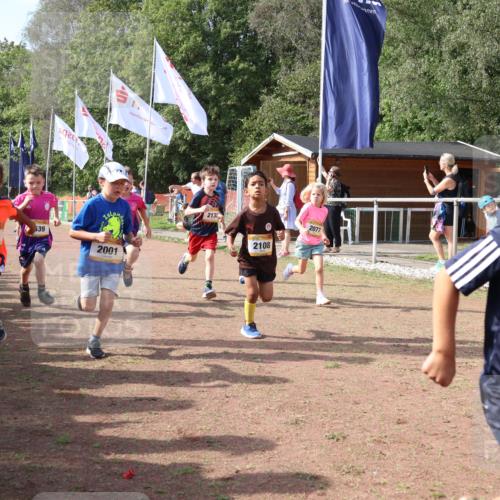 08.09.2024 - Airport Race Strokosch-Dieckow http://msf.ph/oto/6999012 08.09.2024 11:13:04 Ziel  meine-sportfotos.de