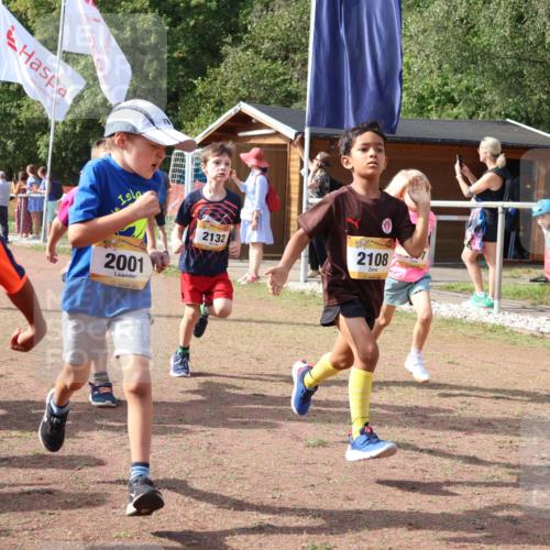 08.09.2024 - Airport Race Strokosch-Dieckow http://msf.ph/oto/6999036 08.09.2024 11:13:04 Ziel  meine-sportfotos.de