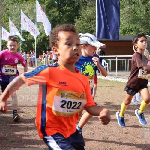 08.09.2024 - Airport Race Strokosch-Dieckow http://msf.ph/oto/6999047 08.09.2024 11:13:05 Ziel  meine-sportfotos.de