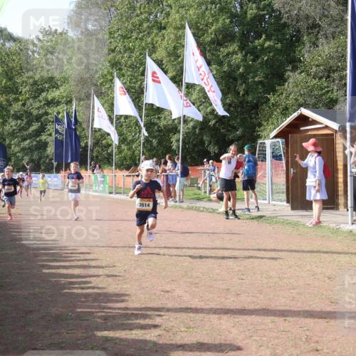 08.09.2024 - Airport Race Strokosch-Dieckow http://msf.ph/oto/6999102 08.09.2024 11:13:07 Ziel  meine-sportfotos.de
