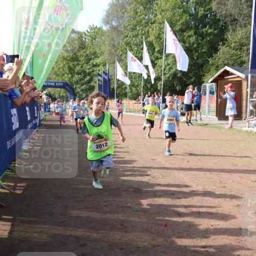 08.09.2024 - Airport Race Strokosch-Dieckow http://msf.ph/oto/6999168 08.09.2024 11:13:12 Ziel  meine-sportfotos.de