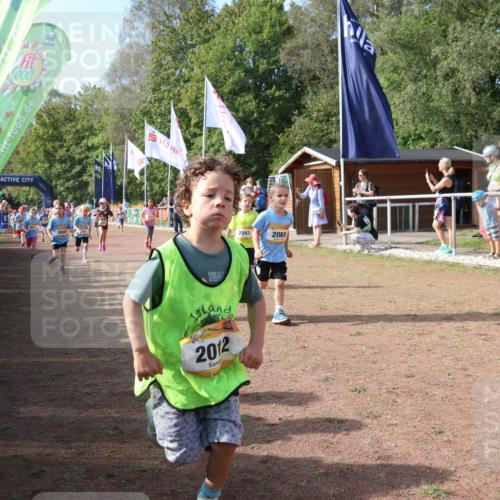 08.09.2024 - Airport Race Strokosch-Dieckow http://msf.ph/oto/6999203 08.09.2024 11:13:13 Ziel  meine-sportfotos.de