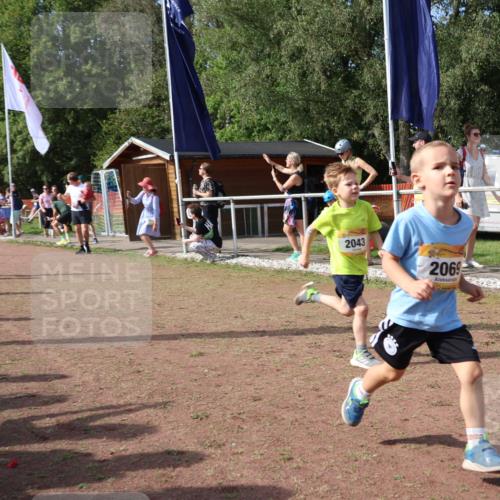 08.09.2024 - Airport Race Strokosch-Dieckow http://msf.ph/oto/6999253 08.09.2024 11:13:14 Ziel  meine-sportfotos.de