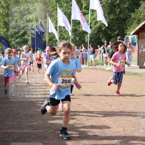 08.09.2024 - Airport Race Strokosch-Dieckow http://msf.ph/oto/6999294 08.09.2024 11:13:15 Ziel  meine-sportfotos.de