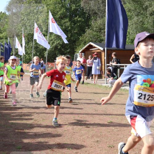 08.09.2024 - Airport Race Strokosch-Dieckow http://msf.ph/oto/6999474 08.09.2024 11:13:19 Ziel  meine-sportfotos.de