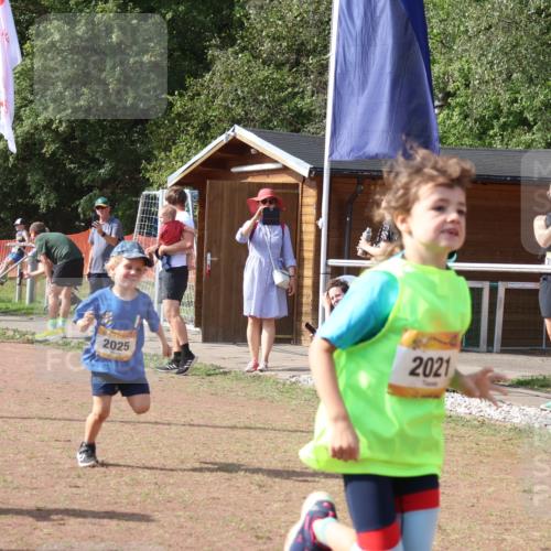 08.09.2024 - Airport Race Strokosch-Dieckow http://msf.ph/oto/6999489 08.09.2024 11:13:22 Ziel  meine-sportfotos.de