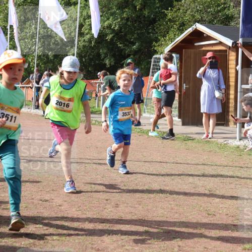 08.09.2024 - Airport Race Strokosch-Dieckow http://msf.ph/oto/6999502 08.09.2024 11:13:24 Ziel  meine-sportfotos.de