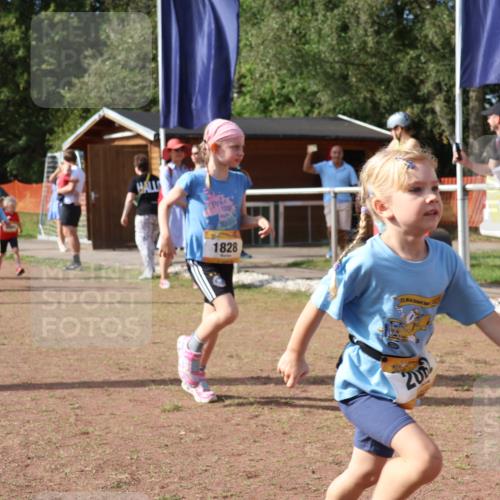 08.09.2024 - Airport Race Strokosch-Dieckow http://msf.ph/oto/6999546 08.09.2024 11:13:33 Ziel  meine-sportfotos.de