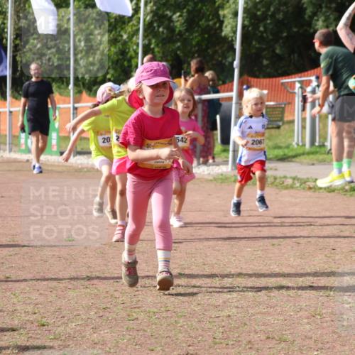 08.09.2024 - Airport Race Strokosch-Dieckow http://msf.ph/oto/6999806 08.09.2024 11:14:33 Ziel  meine-sportfotos.de