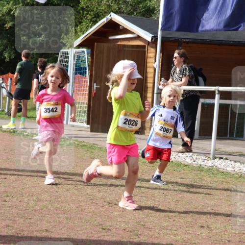 08.09.2024 - Airport Race Strokosch-Dieckow http://msf.ph/oto/6999814 08.09.2024 11:14:36 Ziel  meine-sportfotos.de