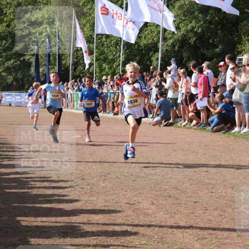 08.09.2024 - Airport Race Strokosch-Dieckow http://msf.ph/oto/7002439 08.09.2024 11:26:39 Ziel 1605, 1697, 1722, 1740, 1807, 1838, 1857, 1872, 1919, 1921, 1937, 1938, 1939 meine-sportfotos.de