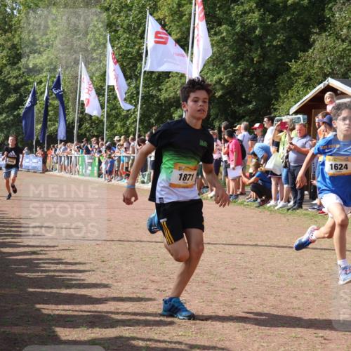 08.09.2024 - Airport Race Strokosch-Dieckow http://msf.ph/oto/7003115 08.09.2024 11:26:56 Ziel 1624, 1727, 1745, 1747, 1871, 1874, 1889, 3440, 3444, 3451 meine-sportfotos.de