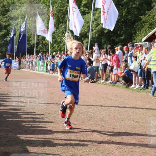 08.09.2024 - Airport Race Strokosch-Dieckow http://msf.ph/oto/7003268 08.09.2024 11:27:00 Ziel 1727, 1745, 1747, 1751, 1874, 1889, 3440, 3444, 3451 meine-sportfotos.de
