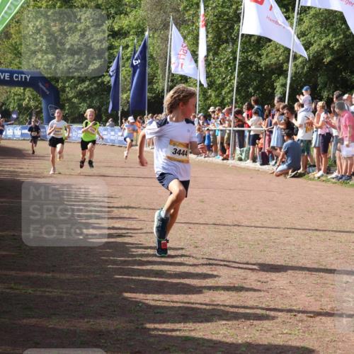 08.09.2024 - Airport Race Strokosch-Dieckow http://msf.ph/oto/7003420 08.09.2024 11:27:03 Ziel 1727, 1745, 1747, 1751, 1867, 1874, 3444, 3451 meine-sportfotos.de