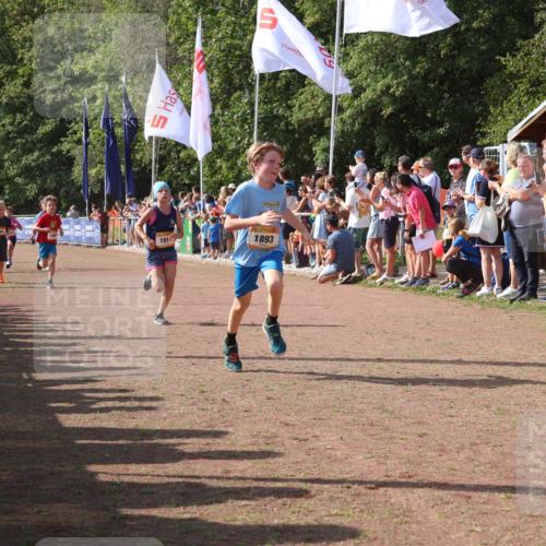 08.09.2024 - Airport Race Strokosch-Dieckow http://msf.ph/oto/7003971 08.09.2024 11:27:17 Ziel 1649, 1650, 1702, 1703, 1707, 1717, 1748, 1848, 1862, 1893, 1898, 1914, 1934 meine-sportfotos.de