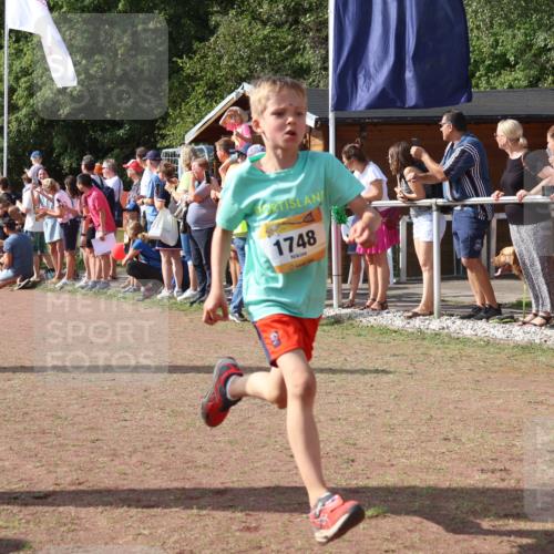 08.09.2024 - Airport Race Strokosch-Dieckow http://msf.ph/oto/7004331 08.09.2024 11:27:26 Ziel 1615, 1616, 1748, 1777, 1823, 1840, 1848, 1883, 1899, 1932, 1934, 3421, 3425, 3452 meine-sportfotos.de