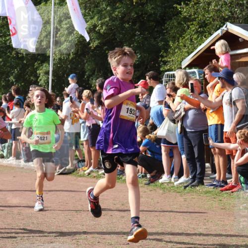 08.09.2024 - Airport Race Strokosch-Dieckow http://msf.ph/oto/7004450 08.09.2024 11:27:29 Ziel 1615, 1616, 1777, 1823, 1831, 1840, 1875, 1883, 1899, 1932, 3421, 3425, 3452 meine-sportfotos.de
