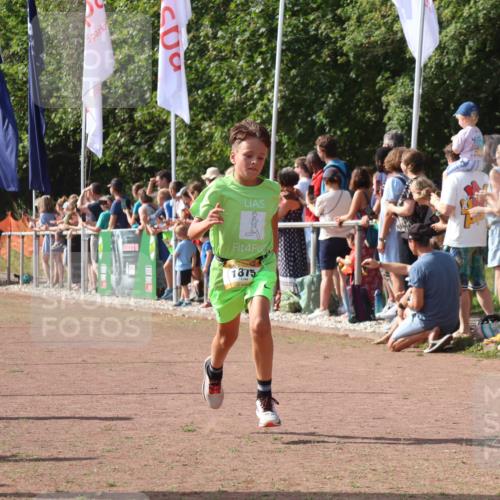 08.09.2024 - Airport Race Strokosch-Dieckow http://msf.ph/oto/7004796 08.09.2024 11:27:37 Ziel 1608, 1781, 1808, 1831, 1869, 1875, 1900, 1904, 3405, 3446 meine-sportfotos.de