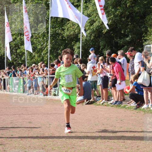 08.09.2024 - Airport Race Strokosch-Dieckow http://msf.ph/oto/7004829 08.09.2024 11:27:37 Ziel 1608, 1781, 1808, 1831, 1869, 1875, 1900, 1904, 3405, 3446 meine-sportfotos.de