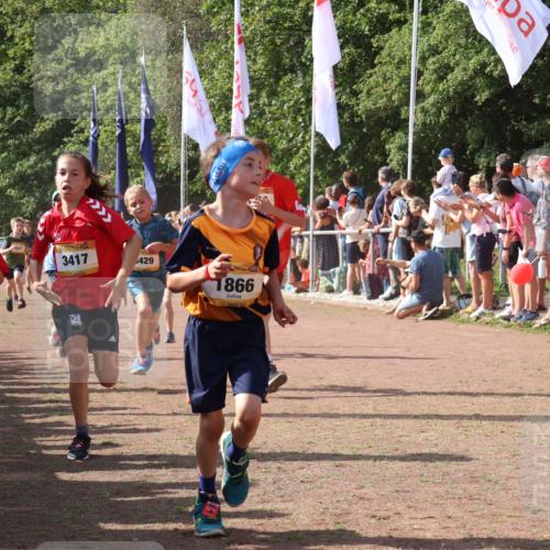 08.09.2024 - Airport Race Strokosch-Dieckow http://msf.ph/oto/7005320 08.09.2024 11:27:48 Ziel 1607, 1633, 1646, 1719, 1746, 1781, 1812, 1820, 1860, 1866, 1885, 1902, 1912, 1927, 3405, 3415, 3416, 3417, 3429 meine-sportfotos.de