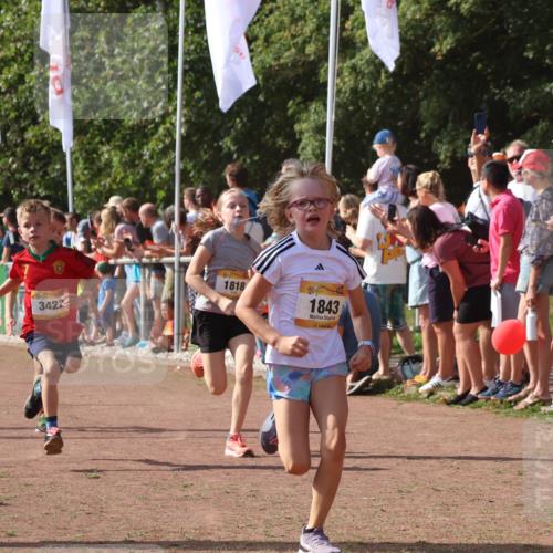 08.09.2024 - Airport Race Strokosch-Dieckow http://msf.ph/oto/7005951 08.09.2024 11:28:02 Ziel 1626, 1726, 1738, 1755, 1763, 1768, 1770, 1818, 1843, 1895, 1911, 1929, 3422, 3432 meine-sportfotos.de