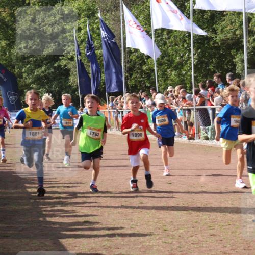 08.09.2024 - Airport Race Strokosch-Dieckow http://msf.ph/oto/7006773 08.09.2024 11:28:22 Ziel 1602, 1606, 1609, 1618, 1632, 1698, 1742, 1762, 1819, 1827, 1830, 1881, 1890, 3408, 3435 meine-sportfotos.de
