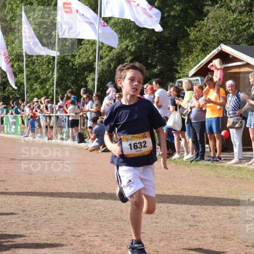 08.09.2024 - Airport Race Strokosch-Dieckow http://msf.ph/oto/7007192 08.09.2024 11:28:31 Ziel 1620, 1632, 1716, 1739, 1790, 1918, 3419, 3426 meine-sportfotos.de