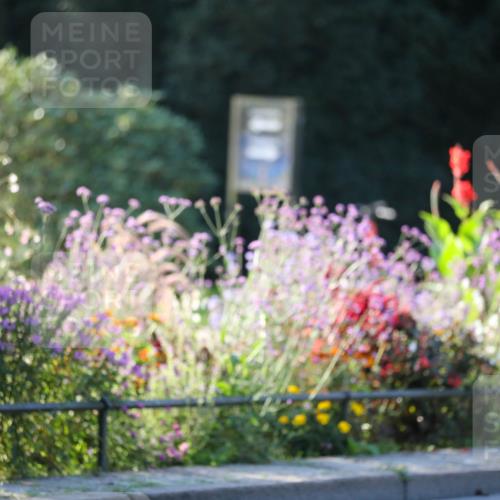 08.09.2024 - Stadtparktriathlon Zöllner http://msf.ph/oto/7007246 08.09.2024 08:50:28 Radfahren 19, 86 meine-sportfotos.de