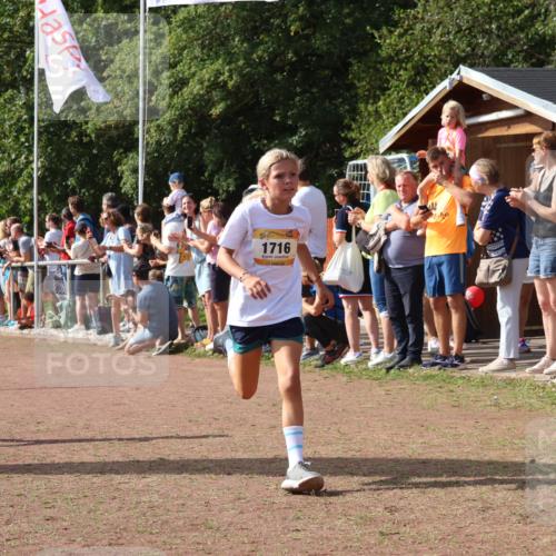 08.09.2024 - Airport Race Strokosch-Dieckow http://msf.ph/oto/7007303 08.09.2024 11:28:33 Ziel 1620, 1716, 1739, 1779, 1790, 1858, 1918, 3419, 3426 meine-sportfotos.de