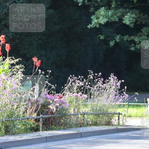 08.09.2024 - Stadtparktriathlon Zöllner http://msf.ph/oto/7007308 08.09.2024 08:50:43 Radfahren 34, 50, 62, 68 meine-sportfotos.de