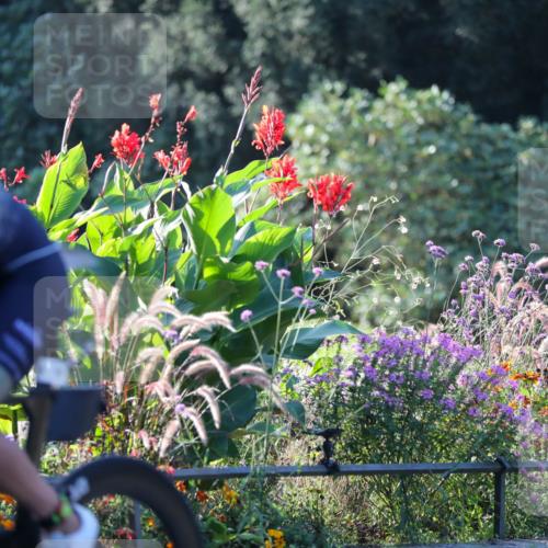08.09.2024 - Stadtparktriathlon Zöllner http://msf.ph/oto/7007377 08.09.2024 08:50:54 Radfahren 29, 47, 48, 50, 68 meine-sportfotos.de