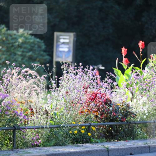 08.09.2024 - Stadtparktriathlon Zöllner http://msf.ph/oto/7007389 08.09.2024 08:50:56 Radfahren 29, 47, 48, 50 meine-sportfotos.de