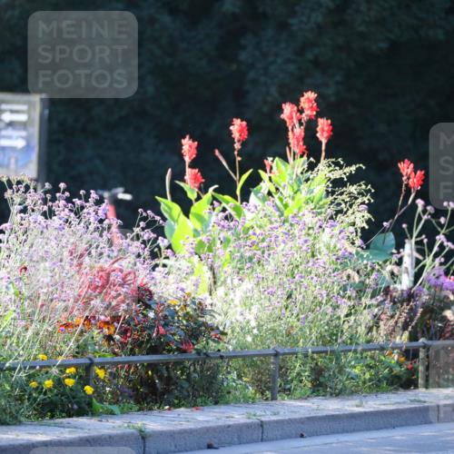 08.09.2024 - Stadtparktriathlon Zöllner http://msf.ph/oto/7007392 08.09.2024 08:50:56 Radfahren 29, 47, 48, 50 meine-sportfotos.de
