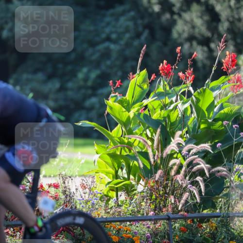 08.09.2024 - Stadtparktriathlon Zöllner http://msf.ph/oto/7007627 08.09.2024 08:51:29 Radfahren 25, 26, 39, 78, 89 meine-sportfotos.de