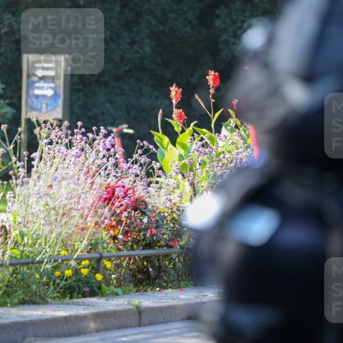 08.09.2024 - Stadtparktriathlon Zöllner http://msf.ph/oto/7007659 08.09.2024 08:51:36 Radfahren 39, 78 meine-sportfotos.de