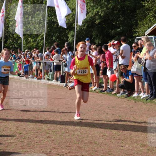 08.09.2024 - Airport Race Strokosch-Dieckow http://msf.ph/oto/7007767 08.09.2024 11:28:43 Ziel 1604, 1660, 1731, 1760, 1771, 1779, 1817, 1855, 1858, 1877, 1909, 1933, 3402, 3404, 3426 meine-sportfotos.de