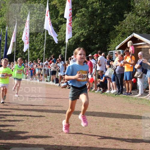 08.09.2024 - Airport Race Strokosch-Dieckow http://msf.ph/oto/7007835 08.09.2024 11:28:45 Ziel 1604, 1660, 1694, 1731, 1760, 1771, 1817, 1855, 1877, 1909, 1933, 3402, 3404 meine-sportfotos.de
