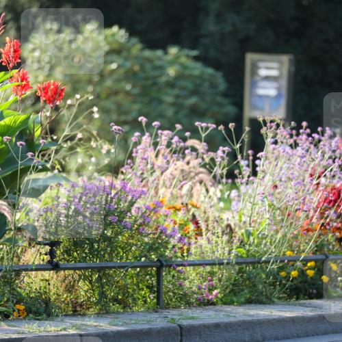 08.09.2024 - Stadtparktriathlon Zöllner http://msf.ph/oto/7008048 08.09.2024 08:52:15 Radfahren 31, 35, 40, 54, 72, 76 meine-sportfotos.de
