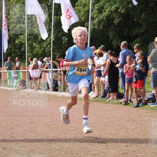 08.09.2024 - Airport Race Strokosch-Dieckow http://msf.ph/oto/7008484 08.09.2024 12:02:07 Ziel 585, 2844 meine-sportfotos.de