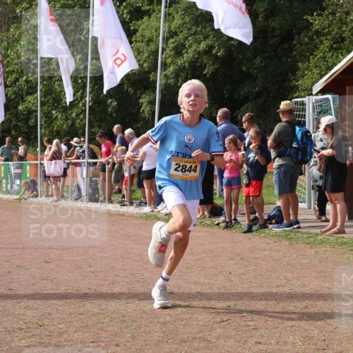 08.09.2024 - Airport Race Strokosch-Dieckow http://msf.ph/oto/7008505 08.09.2024 12:02:07 Ziel 585, 2844 meine-sportfotos.de